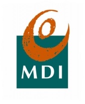 mdi